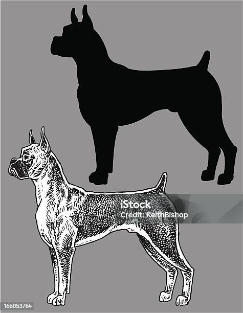 Boxerhund Domestic Haustier Stock Vektor Art und mehr Bilder von Boxer - Hund - Boxer - Hund, Illustration, Vektor