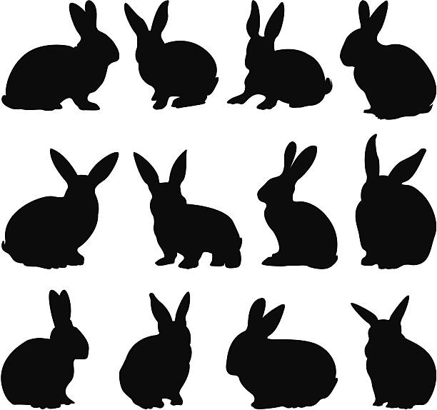 ilustraciones, imágenes clip art, dibujos animados e iconos de stock de siluetas de conejo - lagomorfos