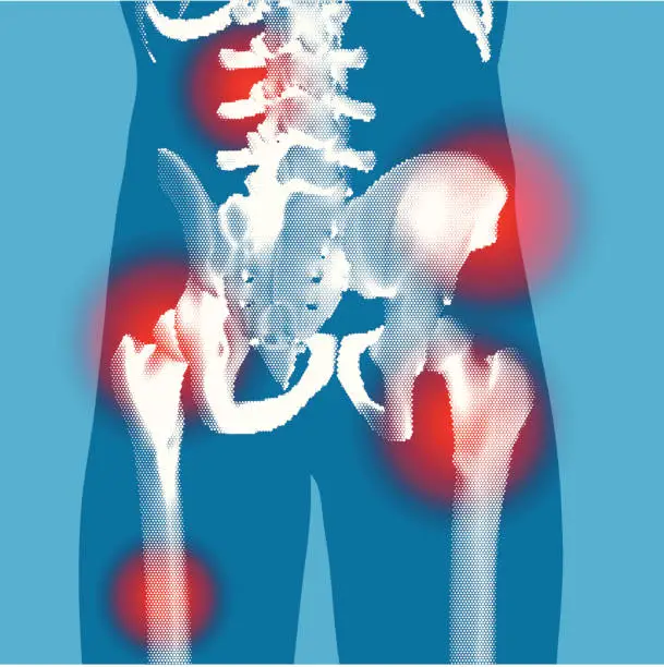 Vector illustration of Abdomen - Stylized Rear 3 quarter X-ray view