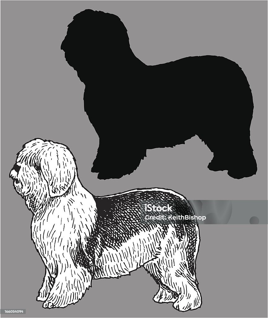 Old English mouton chien acceptant les animaux domestiques - clipart vectoriel de Animaux de compagnie libre de droits