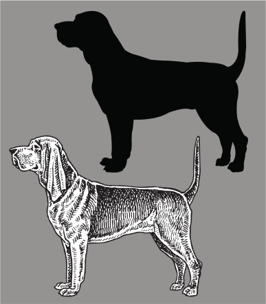 Blood Hound - Dog, domestic pet. Pen and Ink style illustration of mans best friend, a blood hound dog. Check out my 
