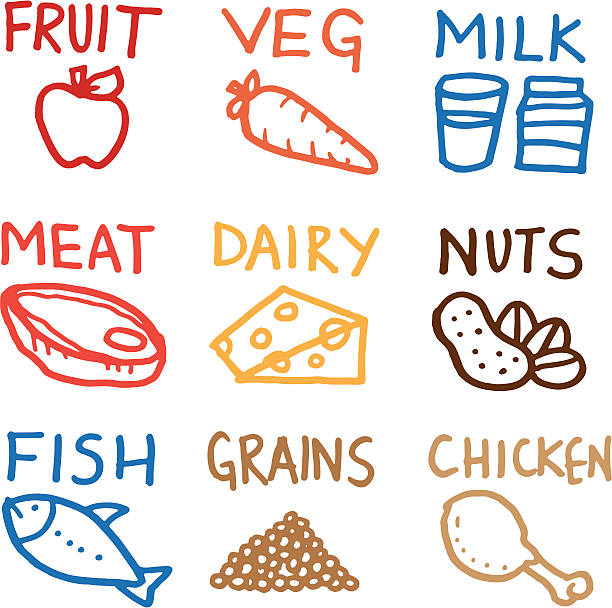 illustrazioni stock, clip art, cartoni animati e icone di tendenza di doodle set di icone cibo - food meat doodle dairy product