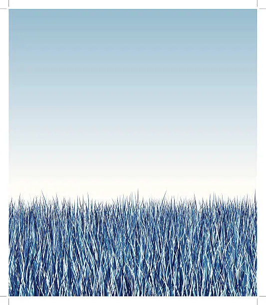 Vector illustration of seamless icy long grass background