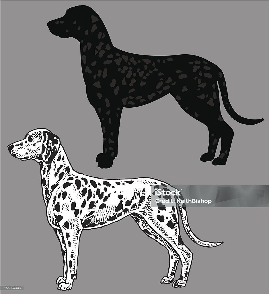 Dalmatiner-Hund, domestic Haustier - Lizenzfrei Dalmatiner Vektorgrafik