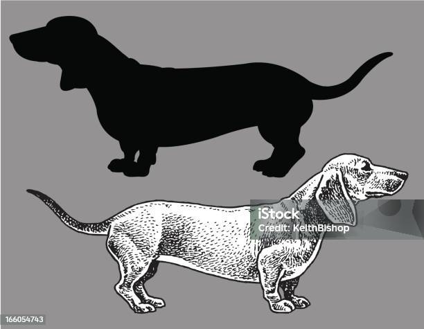 Dachshund De Cão Doméstico Animal De Estimação - Arte vetorial de stock e mais imagens de Dachshund - Dachshund, Ilustração, Animal