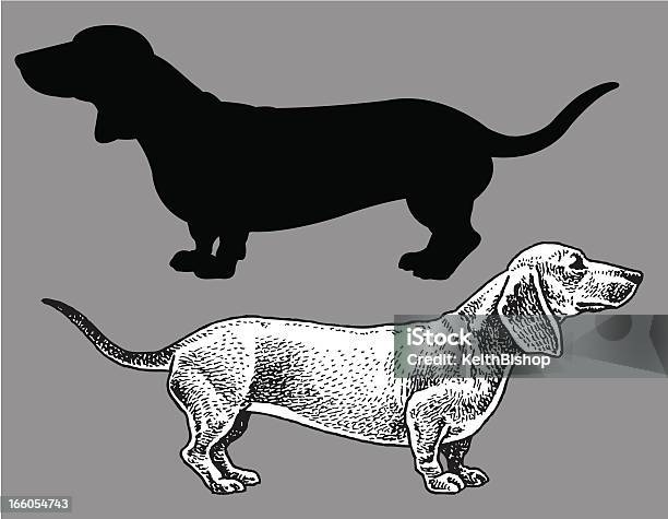 Такса Собака Домашнее Животное — стоковая векторная графика и другие изображения на тему Такса - Такса, Иллюстрация, Без людей