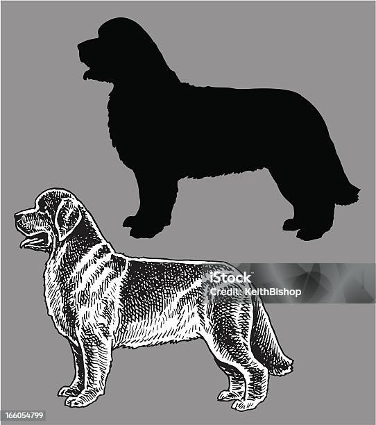 ニューファンドランドのペットの犬国内 - イヌ科のベクターアート素材や画像を多数ご用意 - イヌ科, イラストレーション, ベクター画像
