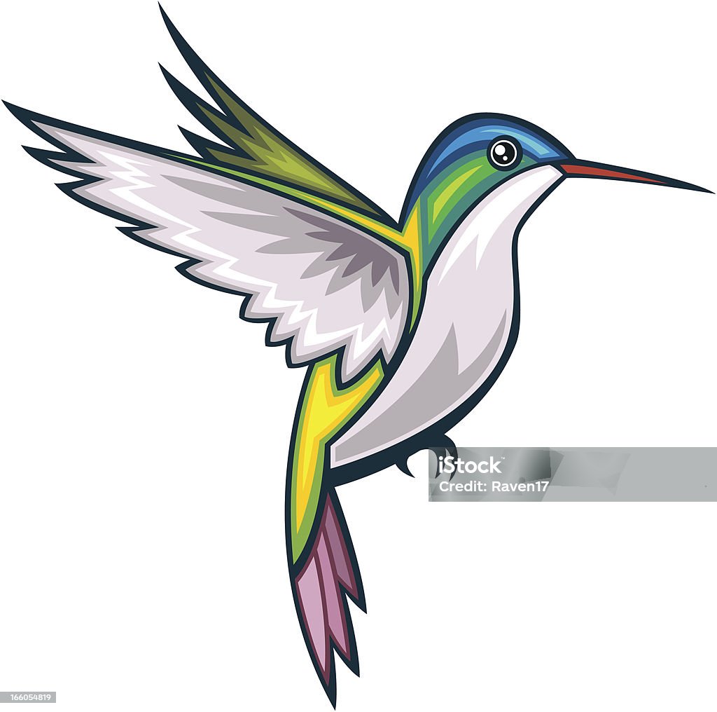 Hummingbird Andean Emerald Hummingbird stock vector