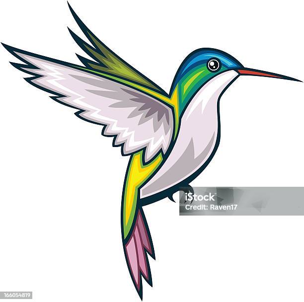 Hummingbird Stock Illustration - Download Image Now - Hummingbird, Animal, Animal Wildlife