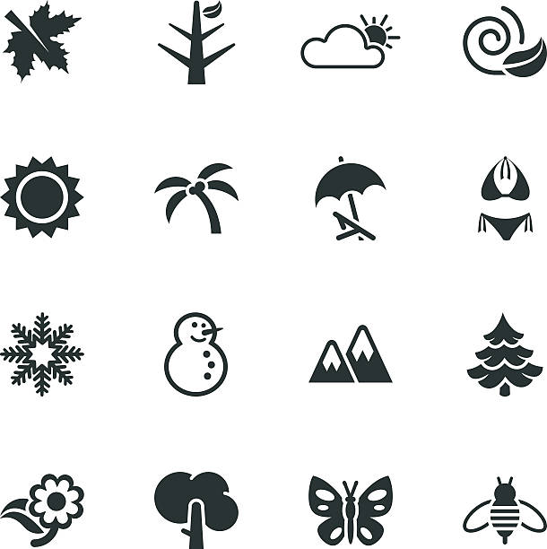 ilustraciones, imágenes clip art, dibujos animados e iconos de stock de four seasons silueta de iconos - four seasons cloud autumn plant