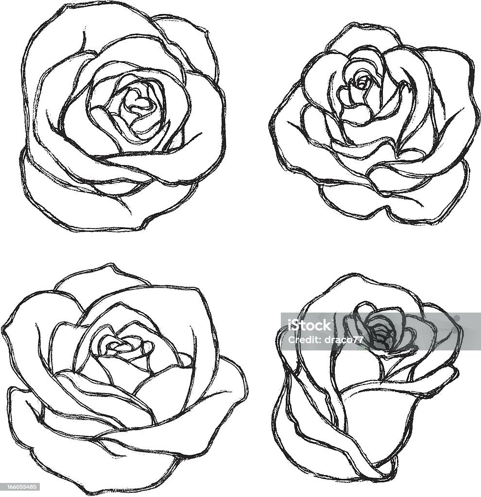 Sketch Rose Flower Set Variations of hand drawn rose. More Sketch Series Lightbox Rose - Flower stock vector
