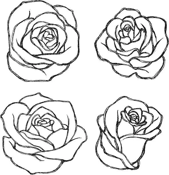 Vector illustration of Sketch Rose Flower Set