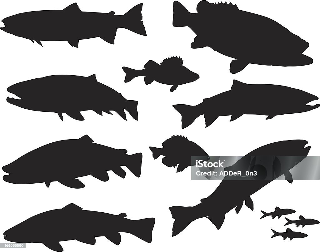 Большой спортивный силуэт набор рыбы - Векторная графика Форель роялти-фри