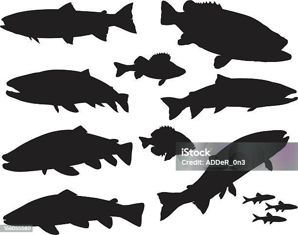 Большой Спортивный Силуэт Набор Рыбы — стоковая векторная графика и другие изображения на тему Форель - Форель, Лосось - животное, Иллюстрация