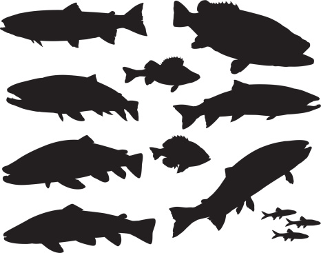 vector illustration of a set of various sport fishing silhouettes. You can make your own arrangements, just like the example shown.