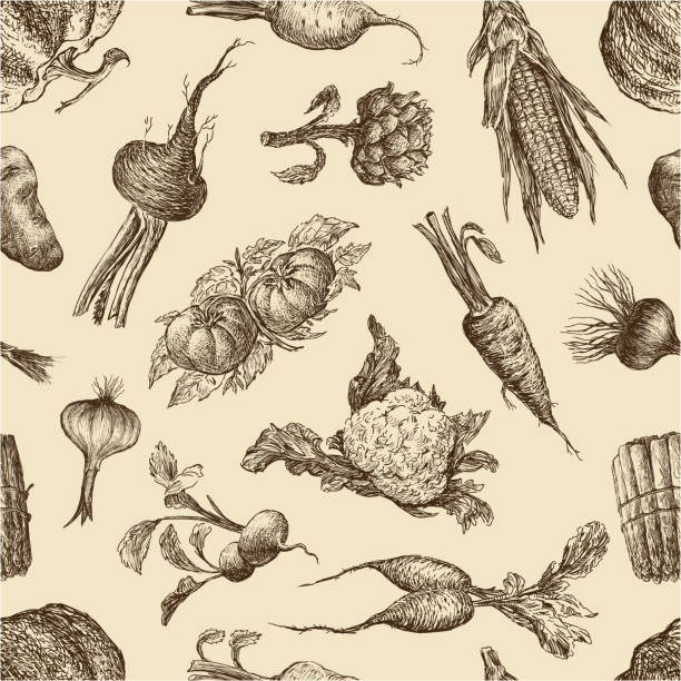 wzór z warzyw - cauliflower white backgrounds isolated stock illustrations