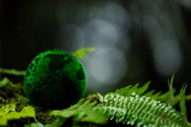 istock Environment. Green globe on grass moss in forest, Green planet with abstract defocused bokeh lights, Environmental conservation concept. Elements of this image furnished by NASA 1660559599