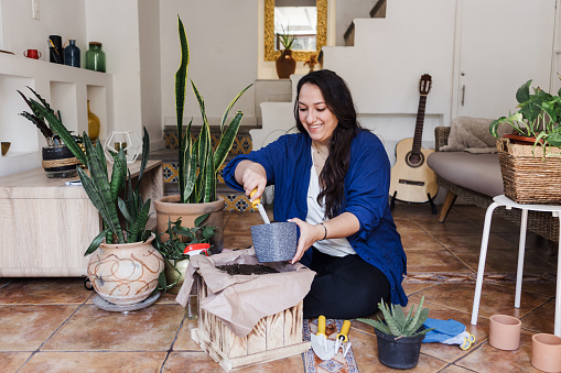 Young latin woman overweight potting a plant at home and Caring For And Watering House Plants With Spray. Indoor gardening in Mexico Latin America, hispanic plus size female
