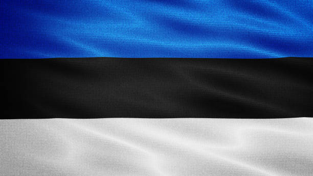 istock Waving Fabric Texture Of Estonia National Flag Graphic Background 1660573704