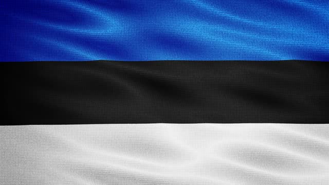 Natural Waving Fabric Texture Of Estonia National Flag Graphic Background