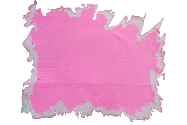 Peeled pink poster paper on white background with clipping path