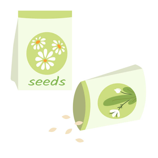 ilustrações, clipart, desenhos animados e ícones de pacotes de sementes de flor vetor dos desenhos animados ilustração em estilo plano isolado no fundo branco - seed packet