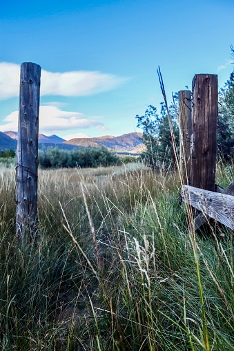 Hope Valley vista - multiple fence posts in meadow - mountain range in distance - Northern California - September