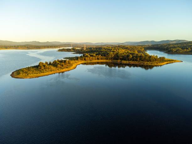 istock a bird - eye view of an island and some trees 1660661602