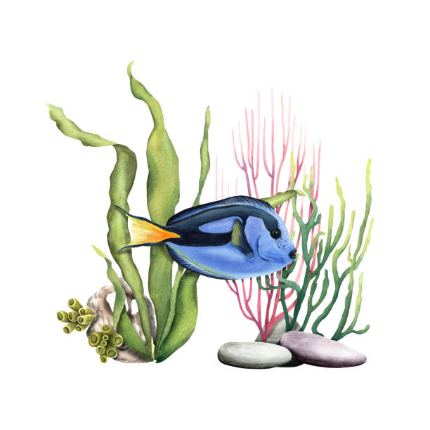 istock Underwater composition with corals and exotic fishe. Watercolor illustration for clip art, cards, decor, package 1660671224
