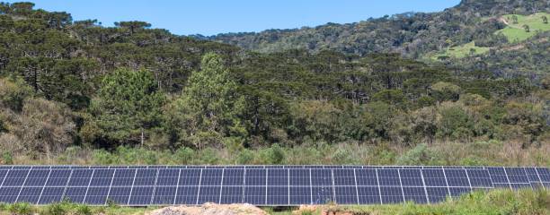 istock Solar panels with forest in the background 1660676087