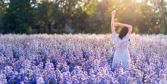 Beautiful asian woman relax in Margaret flower field. beautiful in nature. Travel Thailand