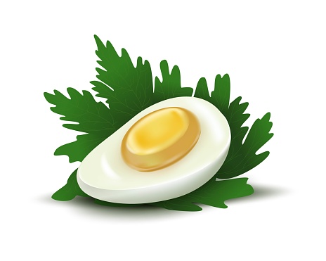 A slice of hard-boiled egg with parsley greens. Food concept for culinary collage. Can be used in web design for cooking recipes, magazines, postcards. Health and nutrition. Egg graphics, vector.