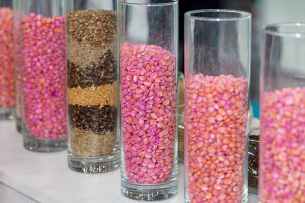 istock Multicolored seeds in a glass vase. 1660714686