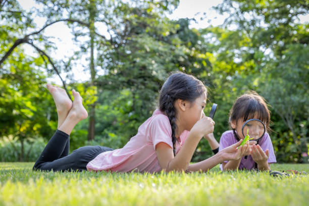 istock Using a magnifying glass to look at insects in the grass can be an exciting and educational activity for children. 1660714688