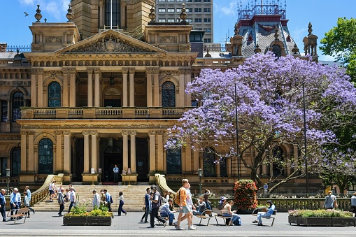 Sydney, New South Wales, Australia - October 11, 2022: pedestrians walk past Sydney Town Hall and a flowering jacaranda tree on George St on a sunny spring day