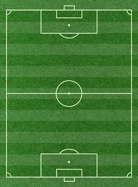 Soccer Football Pitch background textured