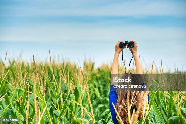 Woman Holding A Binocular In The Field Stock Photo - Download Image Now - Binoculars, Environmental Conservation, Rear View