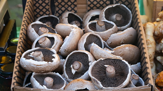 Fresh portobello mushrooms in a box.