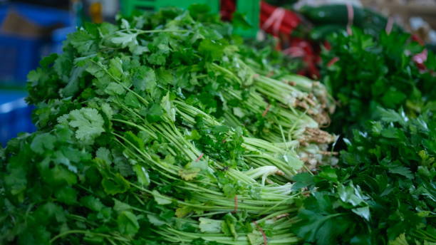 istock Fresh coriander sell in a tradisional market. 1660748288