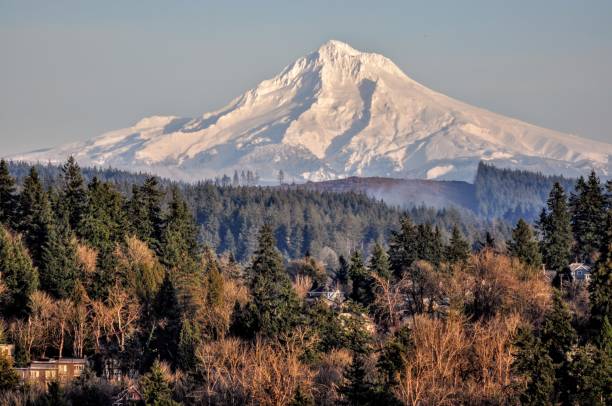 istock Mt. Hood-lum Oregon 1660755785