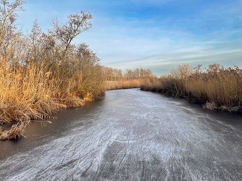 Frozen canals and lakes in the Weerribben-Wieden nature reserve near Belt Schutsloot in Overijssel, The Netherlands during a cold winter day. The land and ice is covered in snow under the clear blue sky.