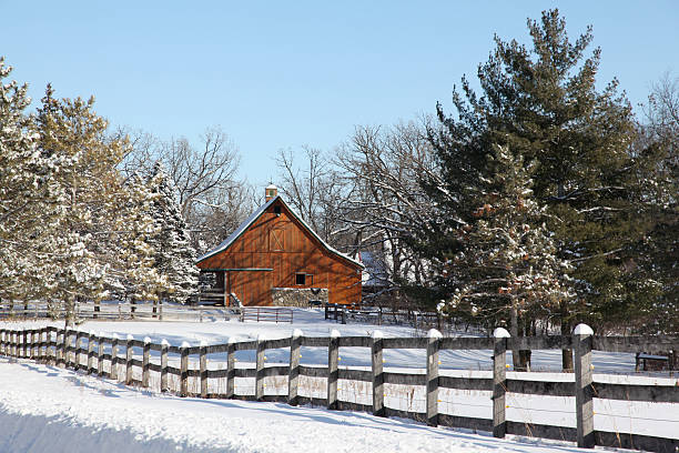 Barn enveloped in Snow stock photo