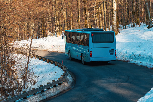 Tourist shuttle bus on the road through wooded landscape in winter, surrounded with snow