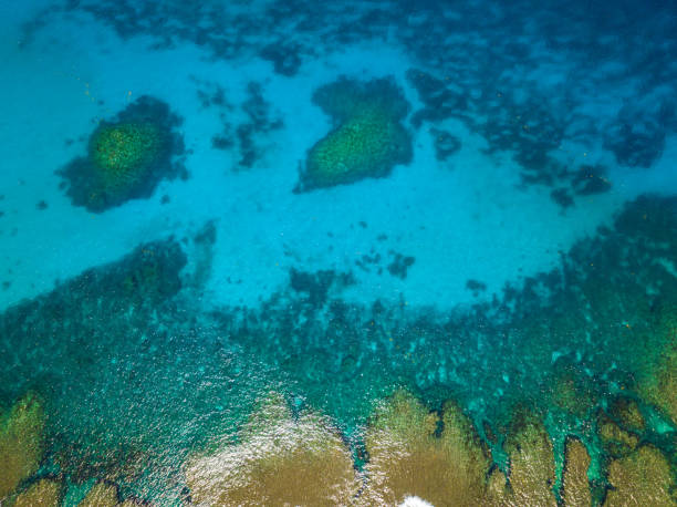 istock Ocean floor with coral reefs in Tropical open sea. Philippines. 1660774727