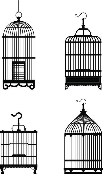 bird cage - 鳥籠 插圖 幅插畫檔、美工圖案、卡通及圖標