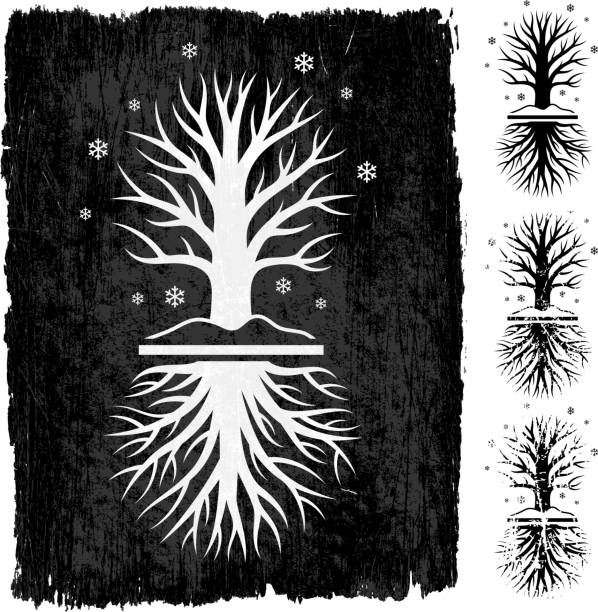 illustrazioni stock, clip art, cartoni animati e icone di tendenza di albero inverno grunge set di icone vettoriali royalty-free - origins oak tree growth plant