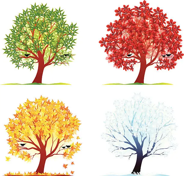 Vector illustration of Four Season