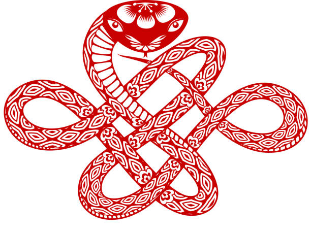 Year of the Snake Snake paper cut art in the shape of Chinese infinity knot symbol for Year of the Snake. EPS10. 2013 stock illustrations
