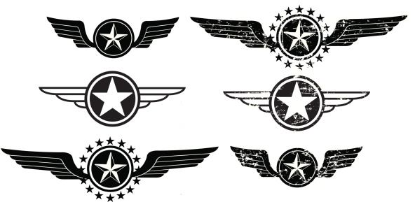 Wing Icons - Flying or Air Force