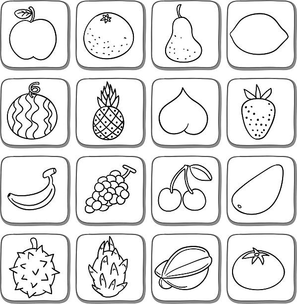 ilustrações, clipart, desenhos animados e ícones de doodle ícone conjunto de frutas em preto e branco - cherry tomato tomato white background vegetable